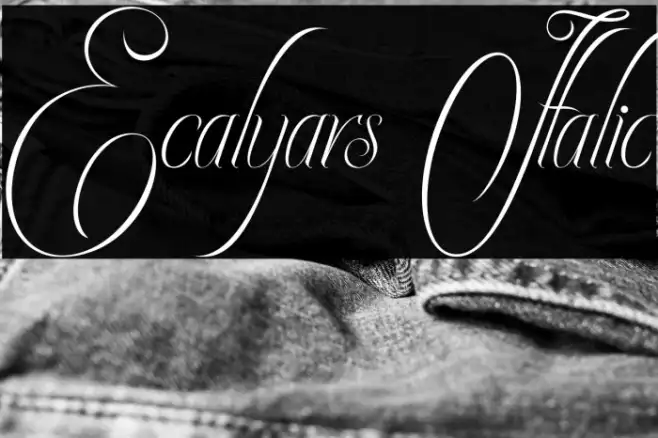 Ecalyars Italic Example 1