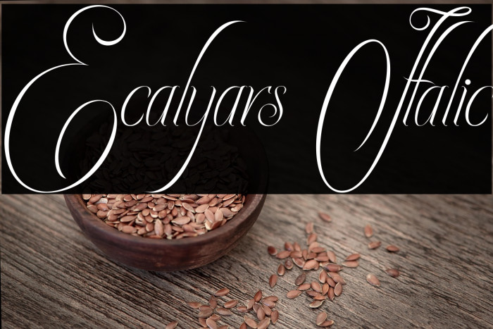 Ecalyars Italic Example 2