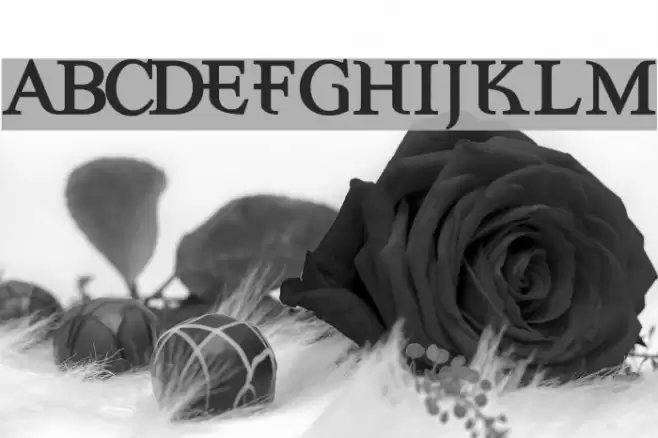 Eccentric Bold Schriftart examples