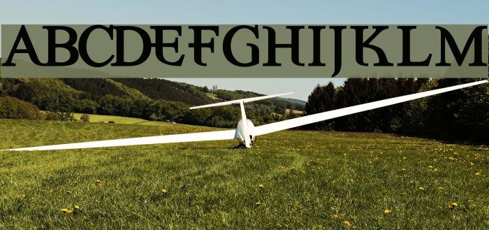 Eccentric Bold Schriftart examples