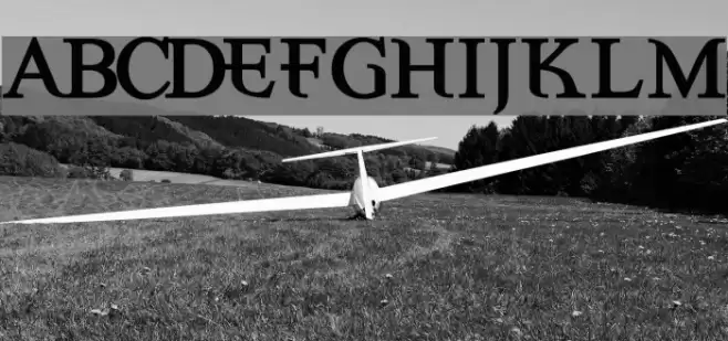 Eccentric Bold Schriftart examples