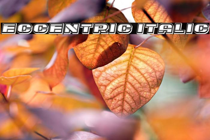 Eccentric Italic Example 1