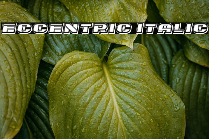 Eccentric Italic Example 2