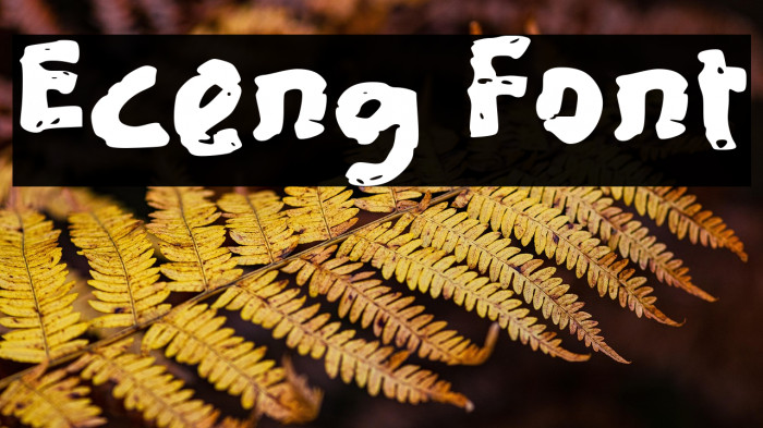 Eceng Example 1