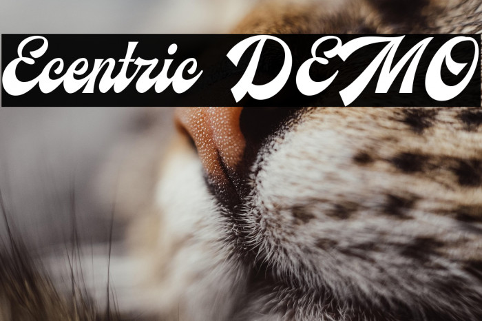 Ecentric DEMO Example 3