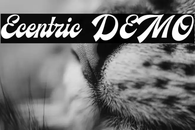 Ecentric DEMO Example 3