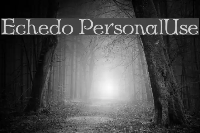 Echedo PersonalUse Example 1