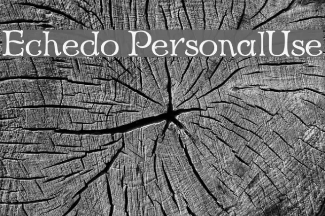 Echedo PersonalUse Example 2