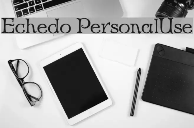 Echedo PersonalUse Example 3