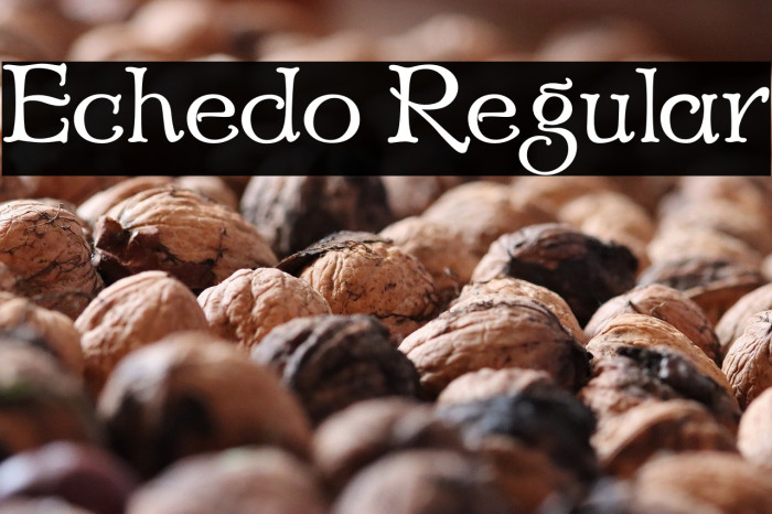 Echedo Regular Example 1