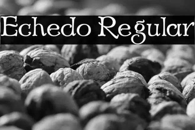 Echedo Regular Example 1