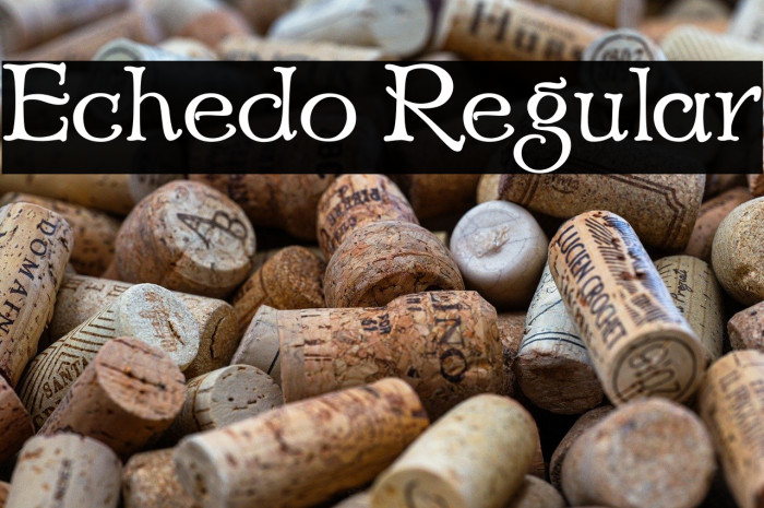 Echedo Regular Example 2