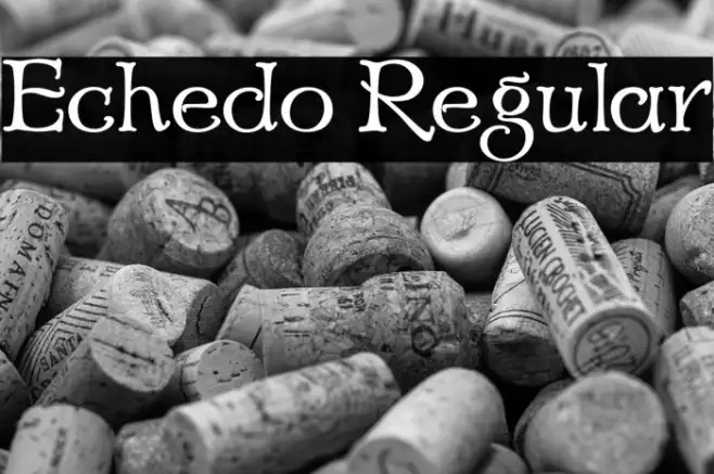 Echedo Regular Example 2