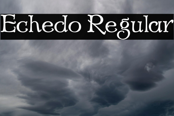 Echedo Regular Example 3