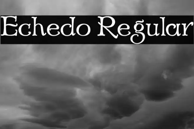 Echedo Regular Example 3