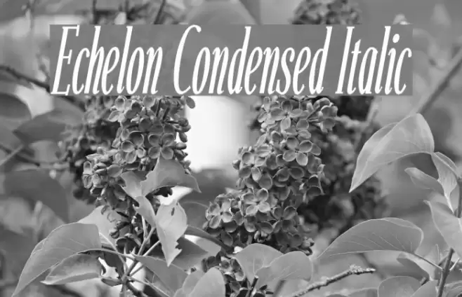 Echelon Condensed Italic Fuentes examples