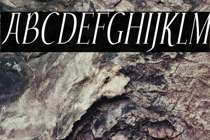 Echelon-Italic Example 2