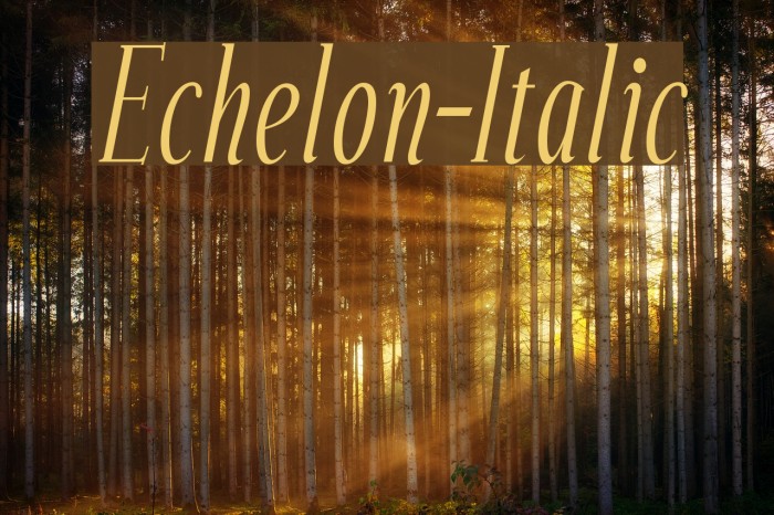 Echelon-Italic Font examples