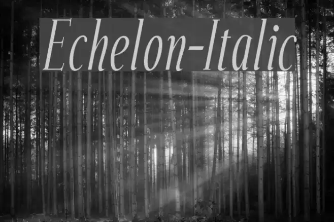 Echelon-Italic फ़ॉन्ट examples