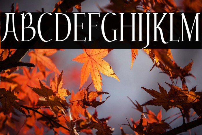 Echelon-Regular Example 2