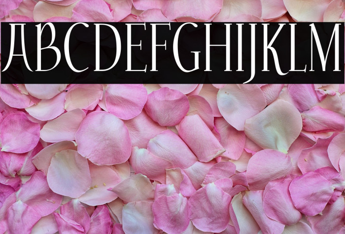 Echelon-Regular Example 3