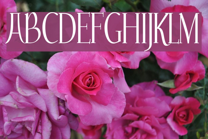 Echelon Font examples