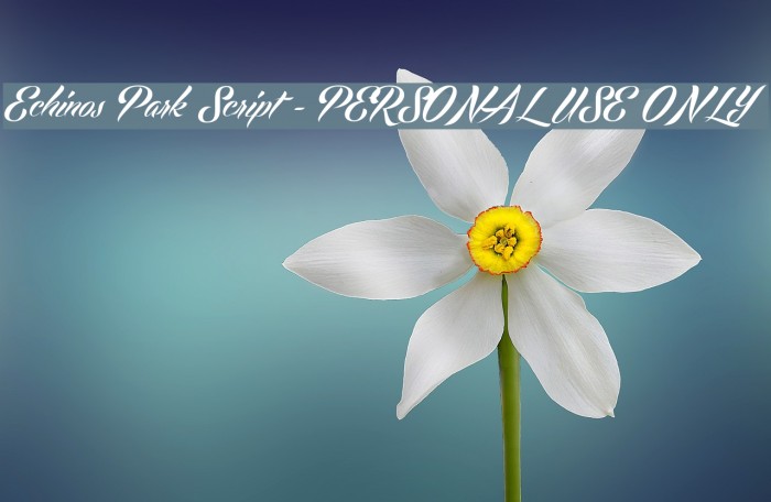 Echinos Park Script - PERSONAL USE ONLY Font examples
