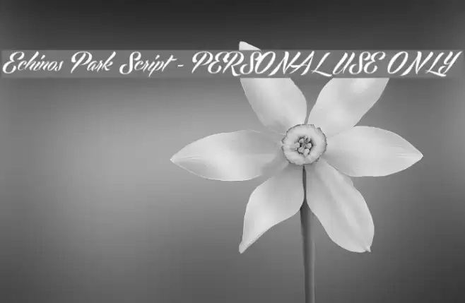 Echinos Park Script - PERSONAL USE ONLY Font examples