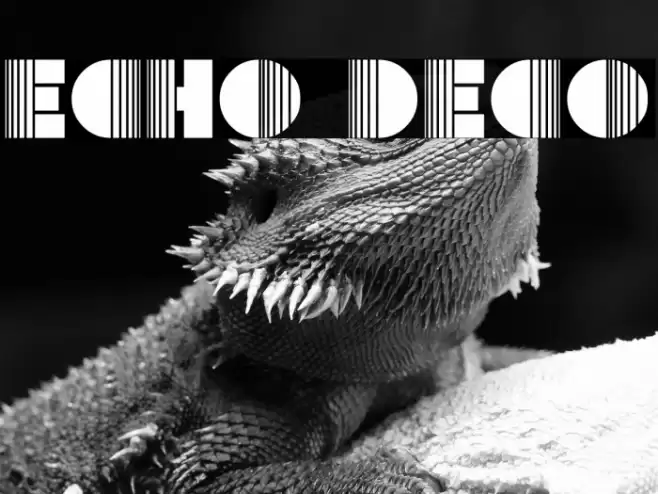 Echo Deco Schriftart examples