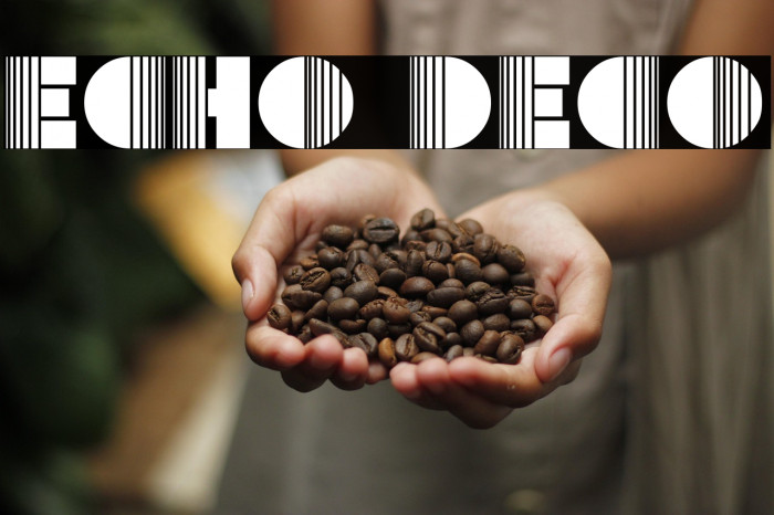 Echo Deco Example 3