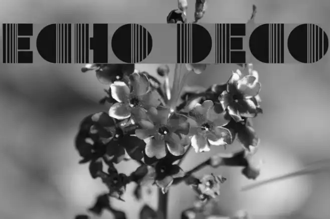 Echo Deco Example 1