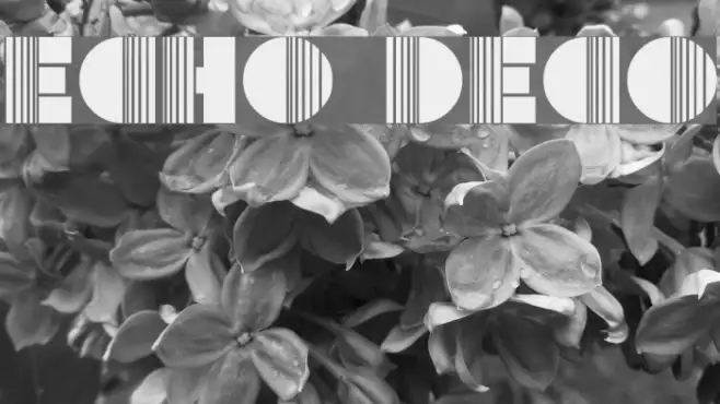 Echo Deco Example 2