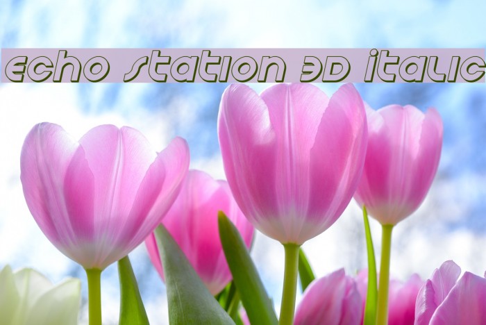Echo Station 3D Italic Font examples