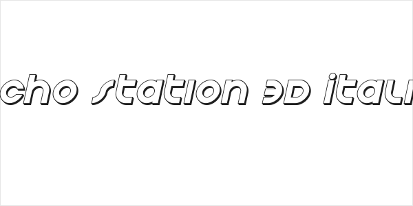 Echo Station 3D Italic Logo