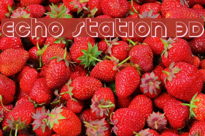 Echo Station 3D Font examples