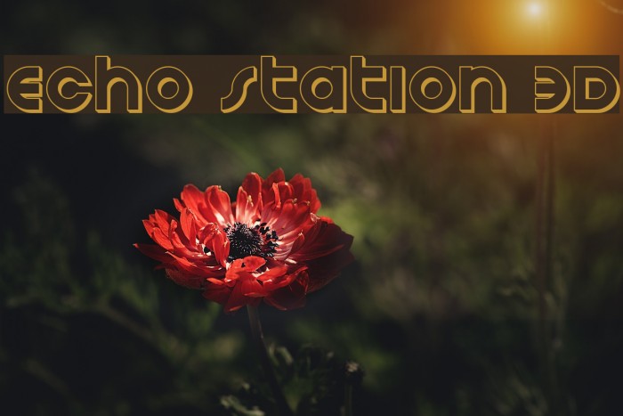 Echo Station 3D Font examples