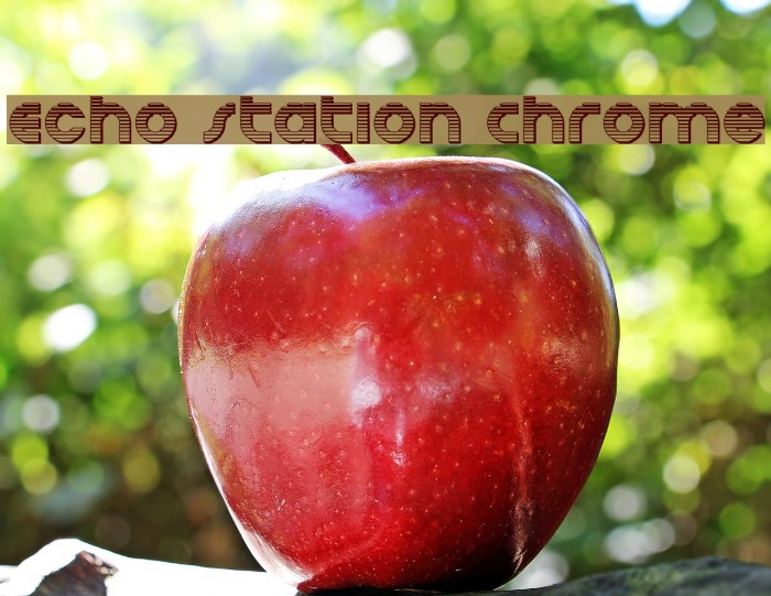 Echo Station Chrome Font examples