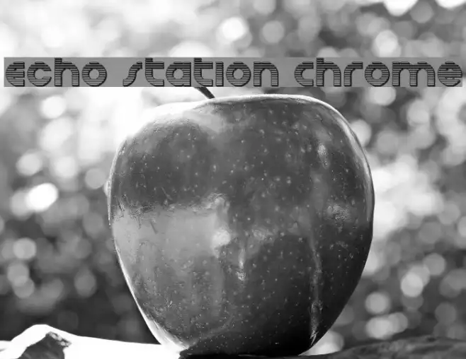 Echo Station Chrome Example 1
