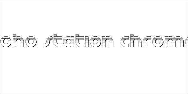 Echo Station Chrome Logo