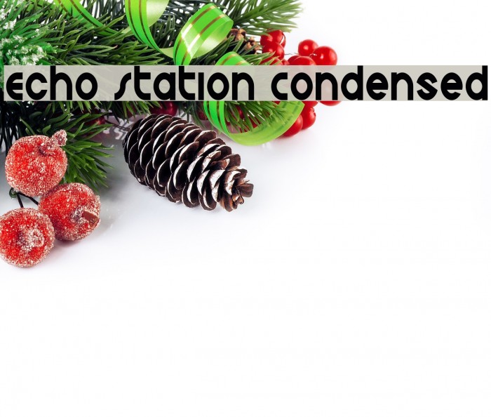 Echo Station Condensed Font examples