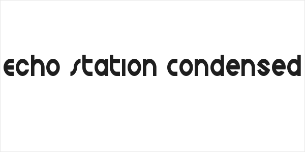 Echo Station Condensed Logo