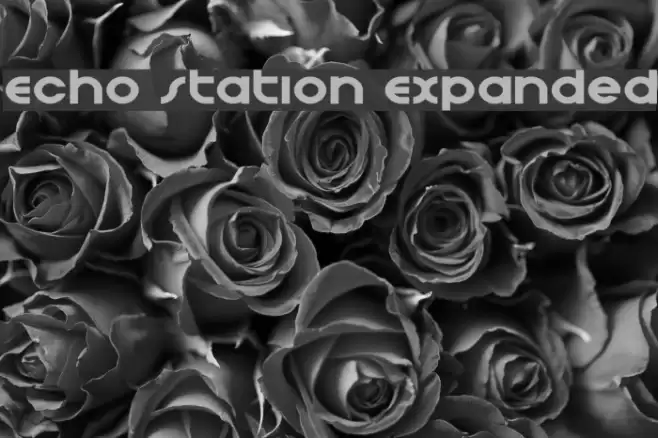 Echo Station Expanded Font examples