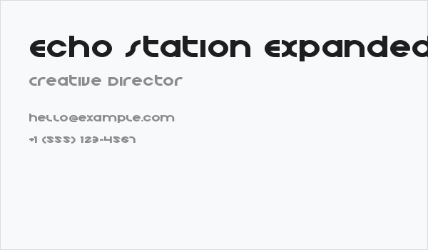 Echo Station Expanded Business Card