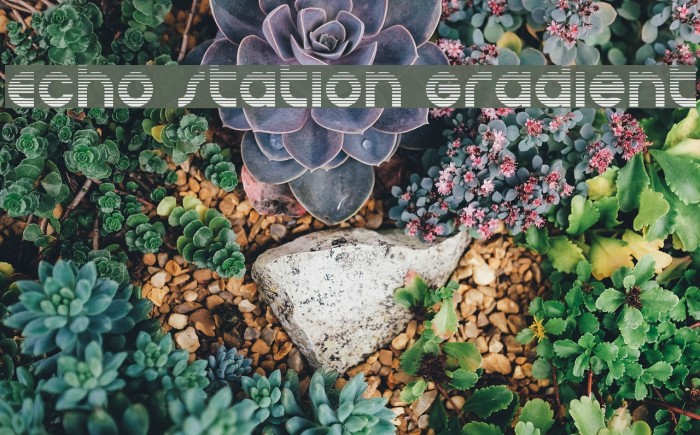 Echo Station Gradient Example 1