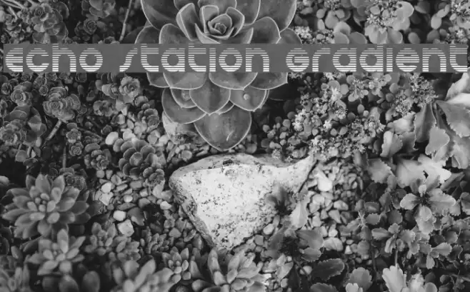 Echo Station Gradient Font examples