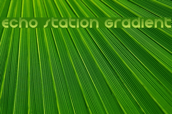 Echo Station Gradient Example 2