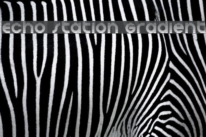 Echo Station Gradient Example 3