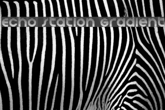 Echo Station Gradient Font examples
