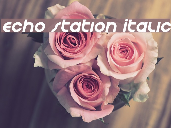 Echo Station Italic Font examples