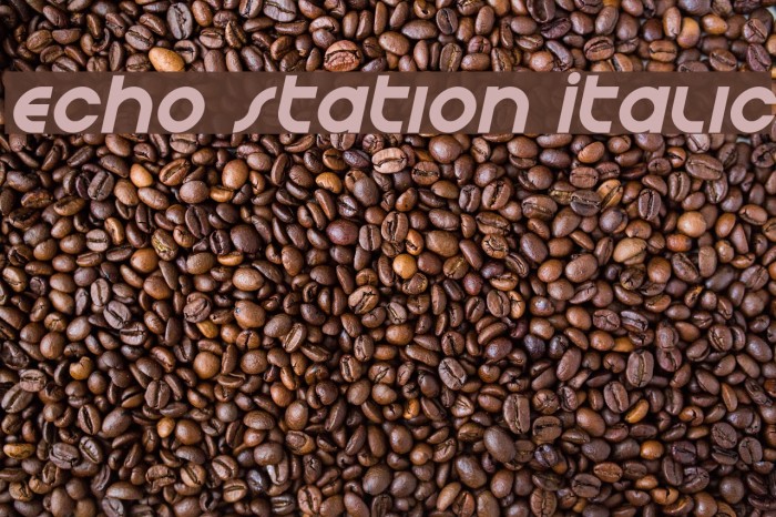 Echo Station Italic Font examples